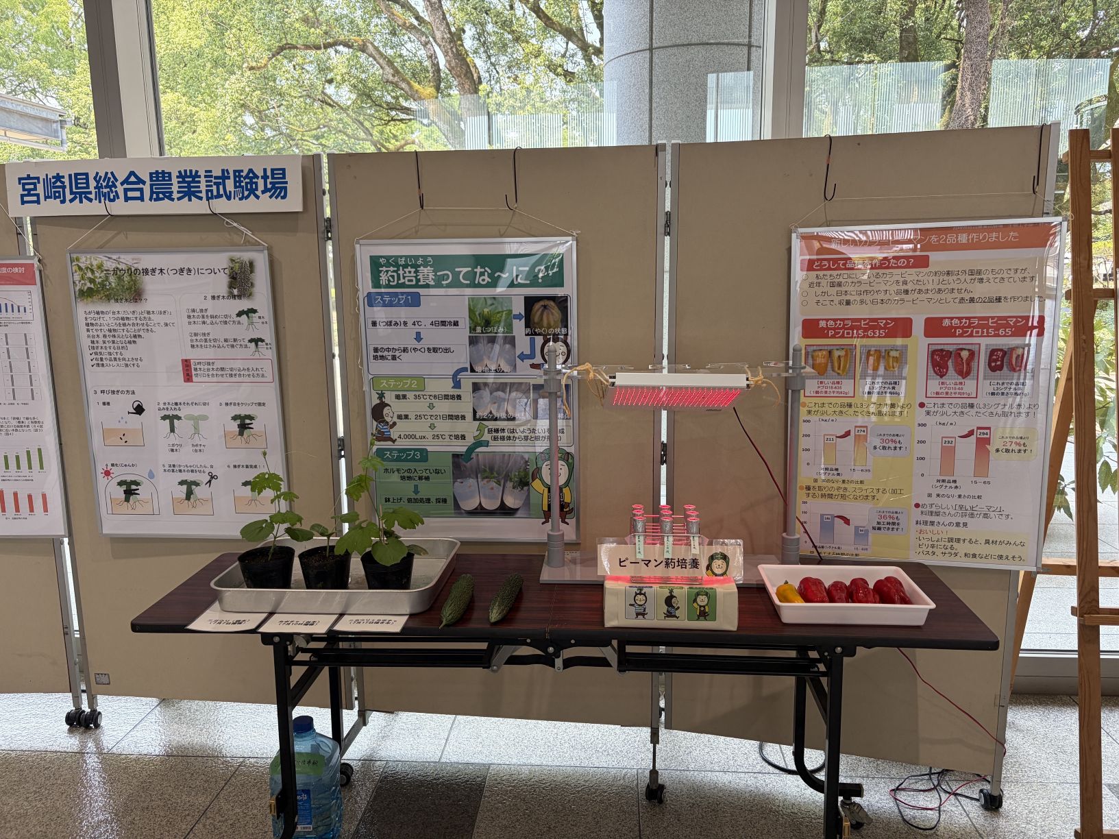 農業試験場展示2