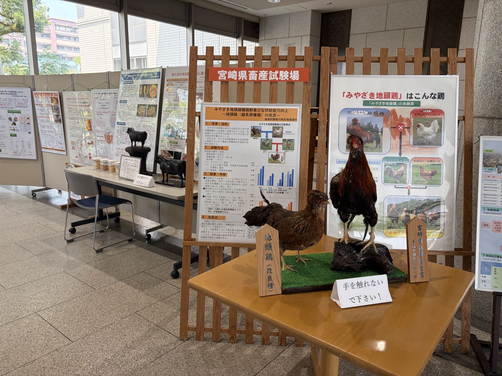 畜産試験場展示