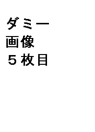 ダミー５